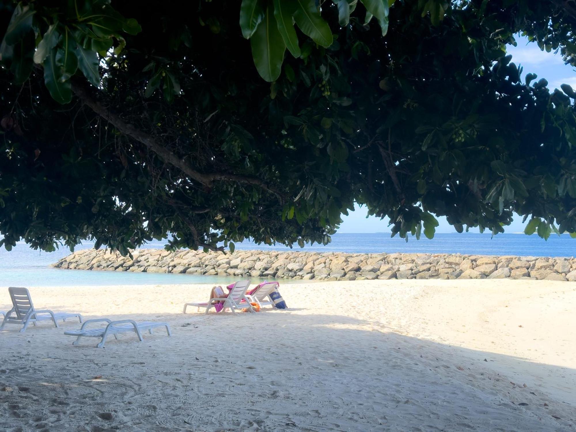Biosphere Inn Dharavandhoo Εξωτερικό φωτογραφία