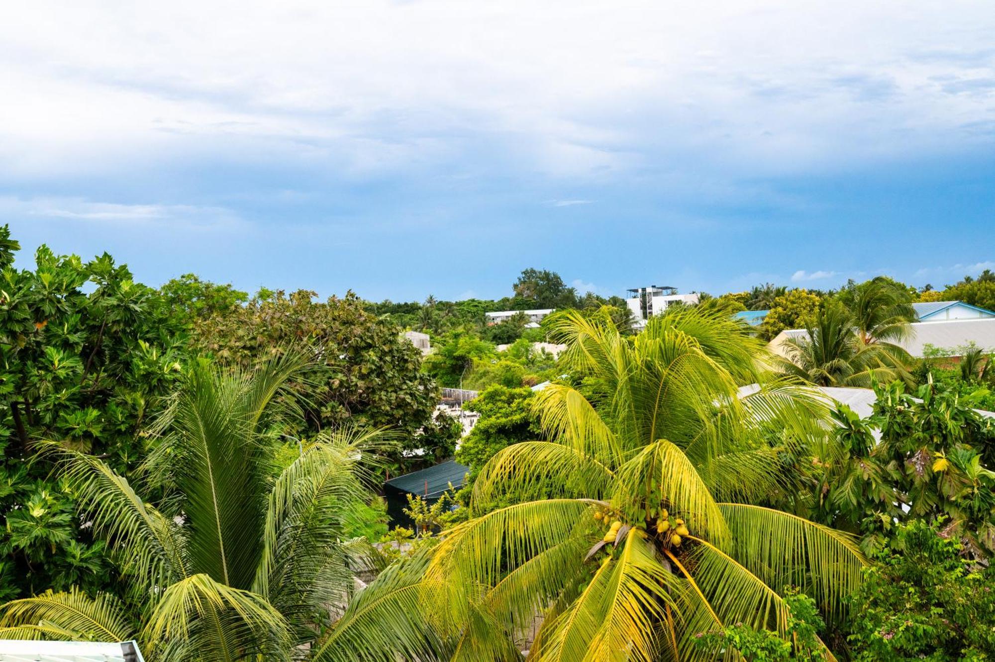 Biosphere Inn Dharavandhoo Εξωτερικό φωτογραφία