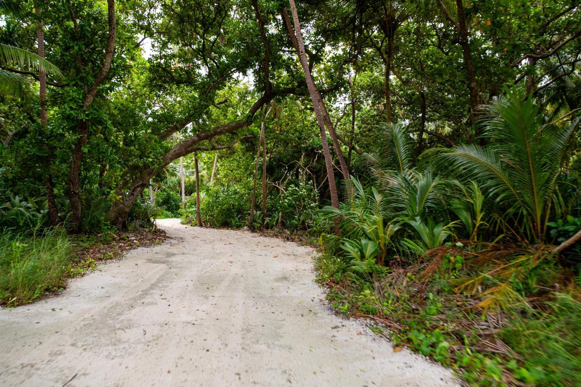 Biosphere Inn Dharavandhoo Εξωτερικό φωτογραφία